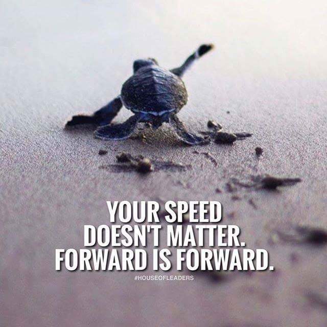 FB_IMG_1501580494600.jpg