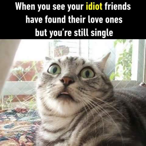FB_IMG_1503609442543.jpg