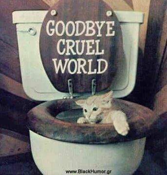 FB_IMG_1503597426048.jpg