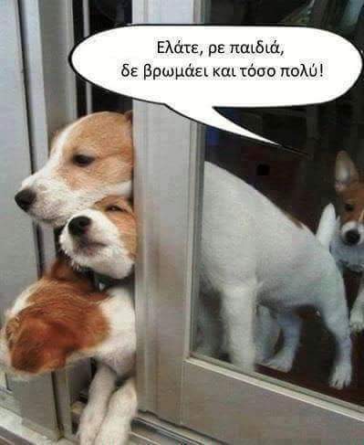 FB_IMG_1503669214216.jpg