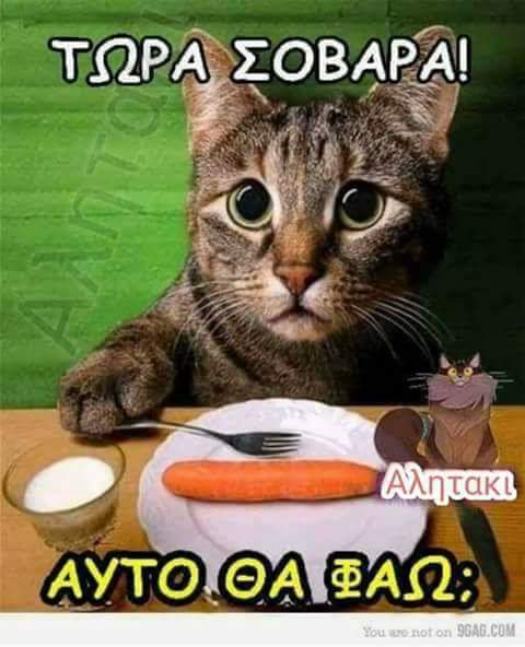 FB_IMG_1503733167722.jpg